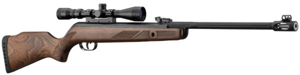 Carabine à Plomb 4.5 mm Gamo Hunter 440 AS + lunette 3-9 x 40 WR – Image 3