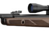 Carabine à Plomb 4.5 mm Gamo Hunter 440 AS + lunette 3-9 x 40 WR