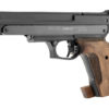 Pistolet à air comprimé GAMO COMPACT BRONZÉ Calibre 4,5 mm – Image 2