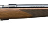 Carabine Browning T bolt Sporter Bois filetée 22lr