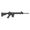 Carabine M&P®15-22 SPORT™ PERFORMANCE CENTER® cal 22 lr