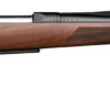 Carabine Browning A-Bolt 3 battue Cal 30.06