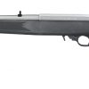Carabine Ruger 10/22  Synthétique  inox Cal 22 lr – Image 3
