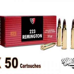 FIOCCHI cal .223 rem - FMJ - 55 grs par 50