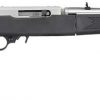 Carabine Ruger 10/22 Take Down Synthétique inox Cal 22LR