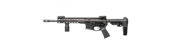 STAG ARMS 15  Elite Rifle cal 223rem canon 12.5 pouces – Image 5