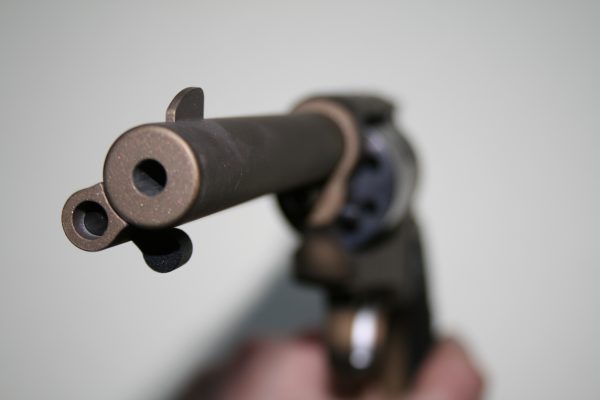 Revolver RUGER Wrangler calibre 22LR bronze – Image 3