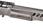 Carabine Ruger American Rimfire Target Thumbole 22lr