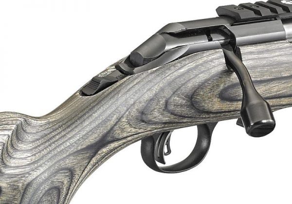 Carabine Ruger American Rimfire Target Thumbole 22lr – Image 3