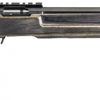 Carabine Ruger American Rimfire Target Thumbole 22lr – Image 4