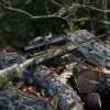Franchi HORIZON ELITE CAMO cal 30.06 – Image 3