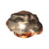 Winchester 300WM,EXTREME POINT,150gr, boite de 20 – Image 2