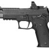 PISTOLET SIG SAUER P226 ZEV 9mm + Roméo 1 Pro – Image 3