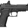 PISTOLET SIG SAUER P226 ZEV 9mm + Roméo 1 Pro – Image 2
