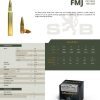 Munitions Sellier & Bellot cal. 30-06 180 grains FMJ (boite de 50) – Image 2