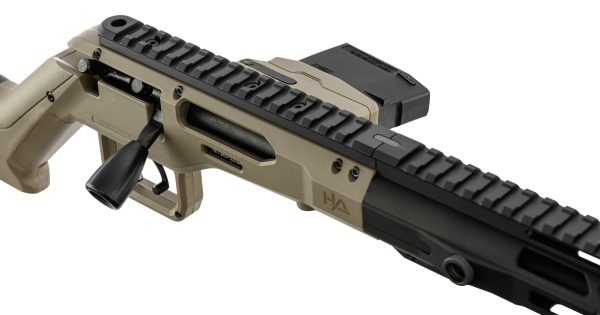 Carabine à verrou HERA ARMS H6 cal 222 Rem - Tan – Image 4