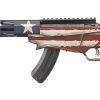 Carabine RUGER PRECISION RIMFIRE .22LR  18" "American Flag" – Image 4