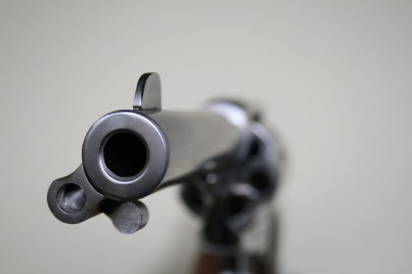 Ruger New Vaquero 4.6 pouces Cal. 357 mag inox – Image 3
