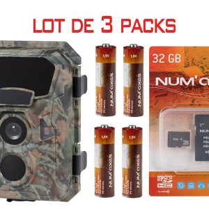 Pack 3  Pièges photographique PIE1066 + 3x4 piles AA LR6 + 3 cartes mémoire 32 Gb