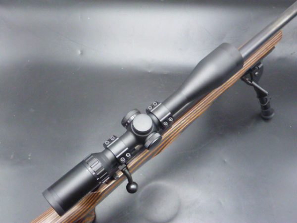 Kit Carabine Rimfire CZ 457 THUMBOLE cal 22lr avec lunette Hawke et bipieds – Image 3