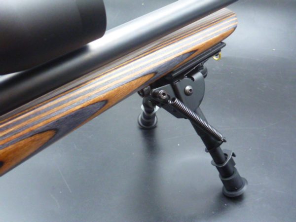 Kit Carabine Rimfire CZ 457 THUMBOLE cal 22lr avec lunette Hawke et bipieds – Image 8