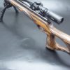 Kit Carabine Rimfire CZ 457 THUMBOLE cal 22lr avec lunette Hawke et bipieds – Image 2