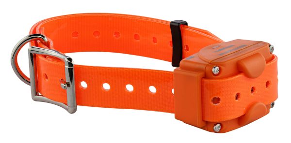 Num'Axes - Pack Canicom 1000 orange pour deux chiens – Image 7