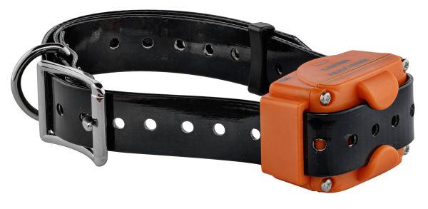 Num'Axes - Pack Canicom 1000 orange pour deux chiens – Image 6
