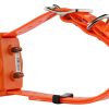 Num'Axes - Pack Canicom 1000 orange pour deux chiens – Image 5