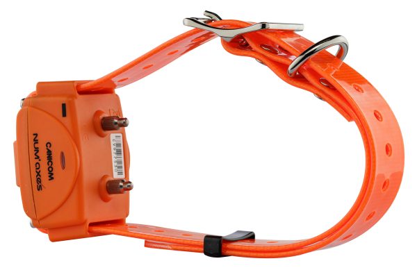 Num'Axes - Pack Canicom 1000 orange pour deux chiens – Image 5