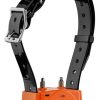 Num'Axes - Pack Canicom 1000 orange pour deux chiens – Image 4