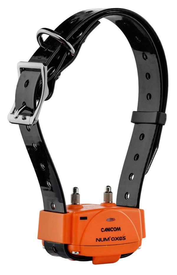 Num'Axes - Pack Canicom 1000 orange pour deux chiens – Image 4