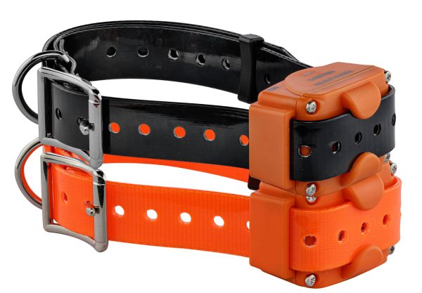 Num'Axes - Pack Canicom 1000 orange pour deux chiens – Image 8