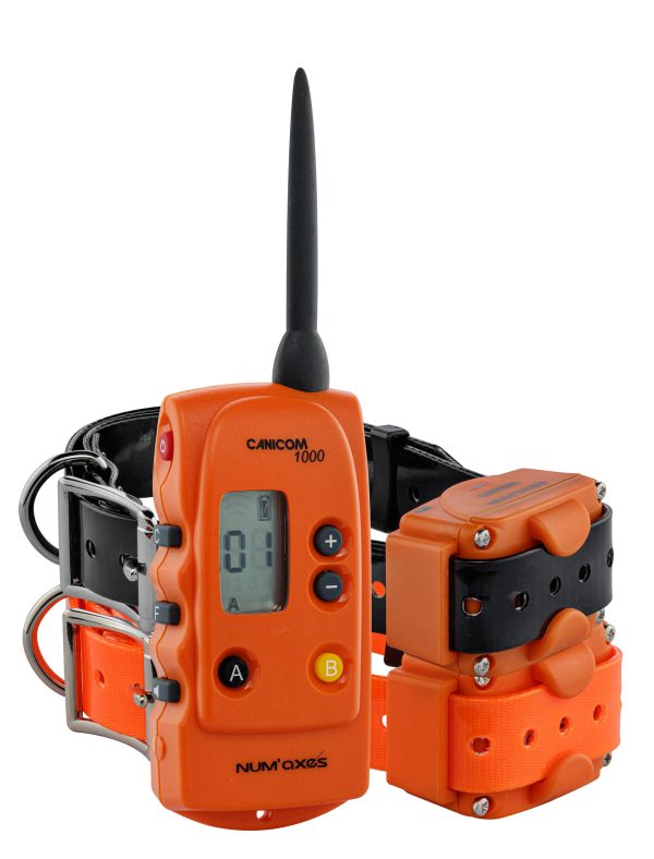 Num'Axes - Pack Canicom 1000 orange pour deux chiens
