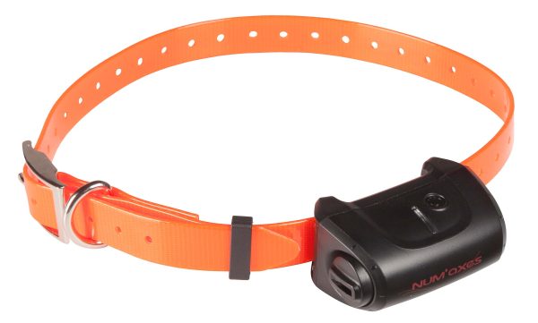 Kit Collier d'éducation Canicom 5.500 - 500m – Image 3