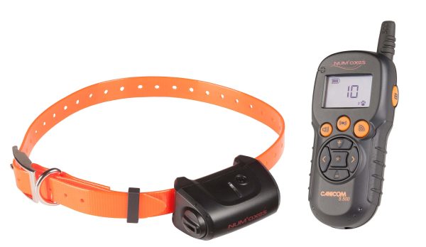 Kit Collier d'éducation Canicom 5.500 - 500m – Image 2