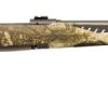 Carabine SAVAGE 110 PREDATOR  CAM FILETE calibre 243 winch canon 24"