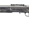 CARABINE RUGER AMÉRICAN RIMFIRE TARGET TROU DE POUCE INOX cal 22LR – Image 5