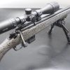 KIT carabine BERGARA BMR calibre 22LR