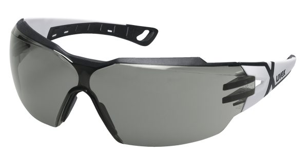 LUNETTES DE PROTECTION UVEX PHEOS – Image 2