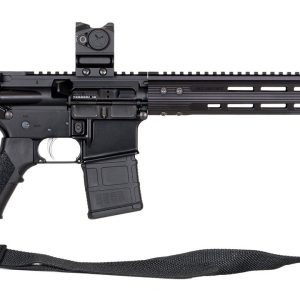 ALG Defense El Jefe cal.223 Rem. canon de 16" + Point rouge Warner and Swasey red dot