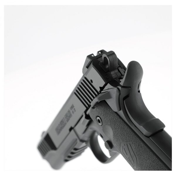 Pistolet HAMMERLI ARMS FORGE H1 22 canon 5" – Image 2