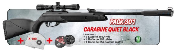 Carabine à plomb  GAMO calibre 4.5mm Pack Quiet Black 2025 + Lunette 4x32 WR + cibles + plombs