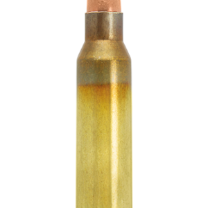 munitions LAPUA NATURALIS .300 Win Mag. / 11.0 g (170 gr)  / boite de 10